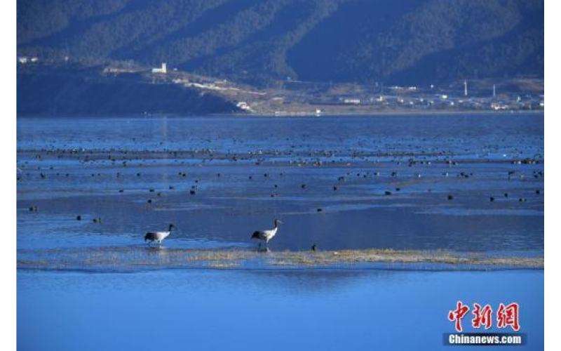 發(fā)改委要求：分階段研究提出美麗中國建設預期目標