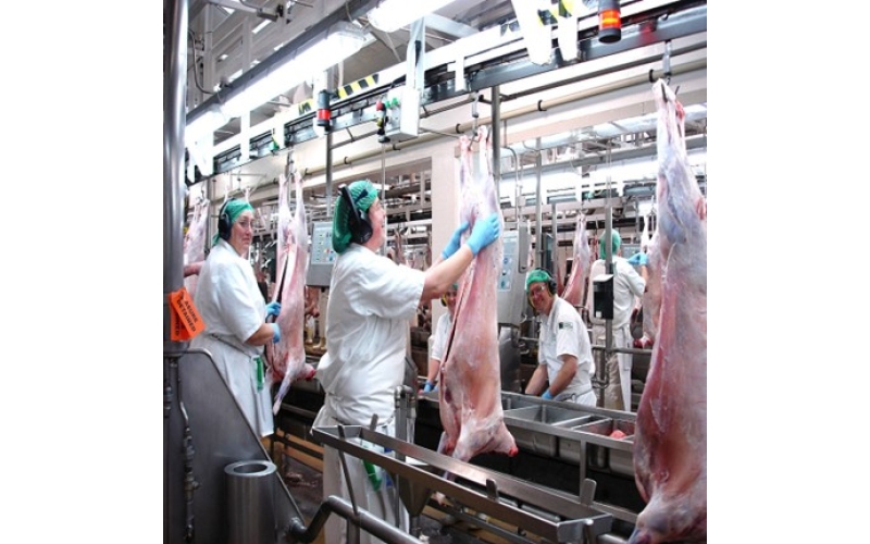 食品加工廚余真空收集系統(tǒng)